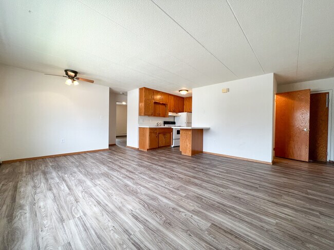 Two Bed One Bath - The Midtown Apartments