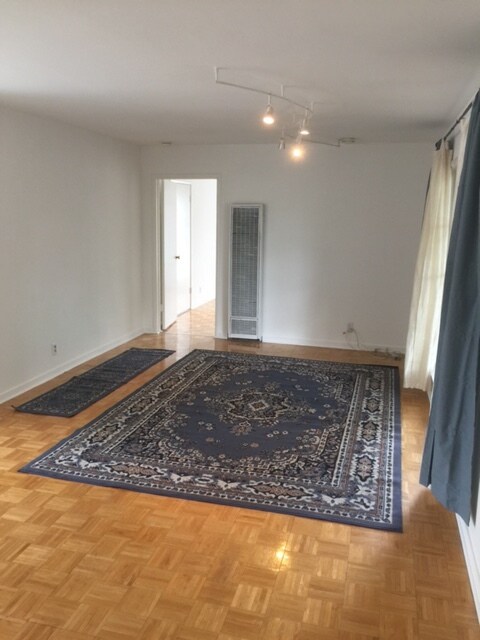 Living Room (light blue rugs) - 481 Willow Rd