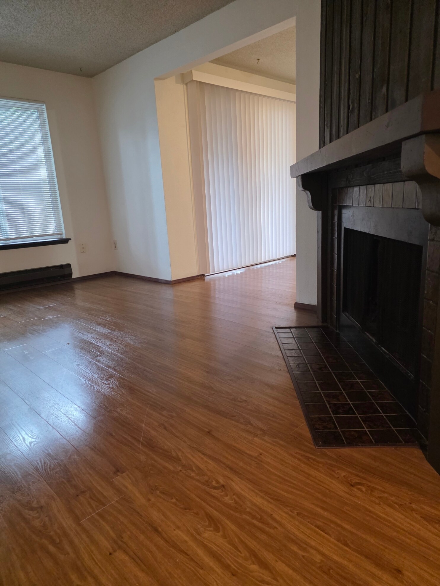 livingroom/fireplace - 2962 O St SE