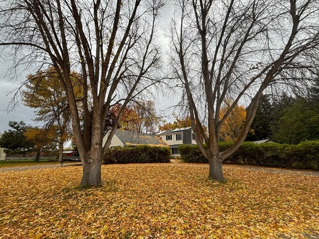 Building Photo - Spacious 4BR, 2.5BA home on 1.3 acres in Orchard Homes