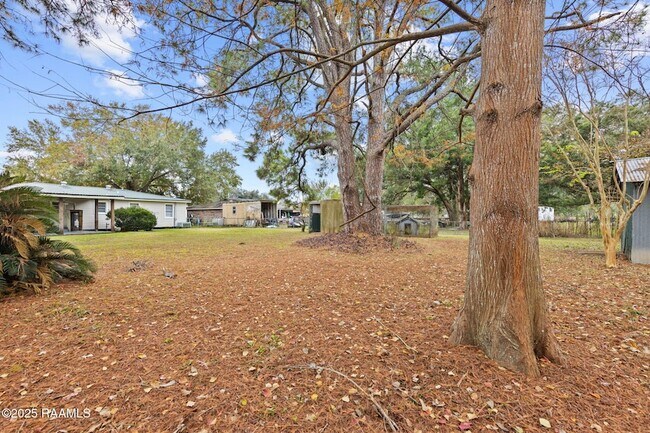Building Photo - 509 San Jacinto Cir