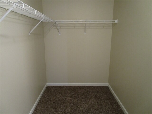 Building Photo - 204 Carrie Dr