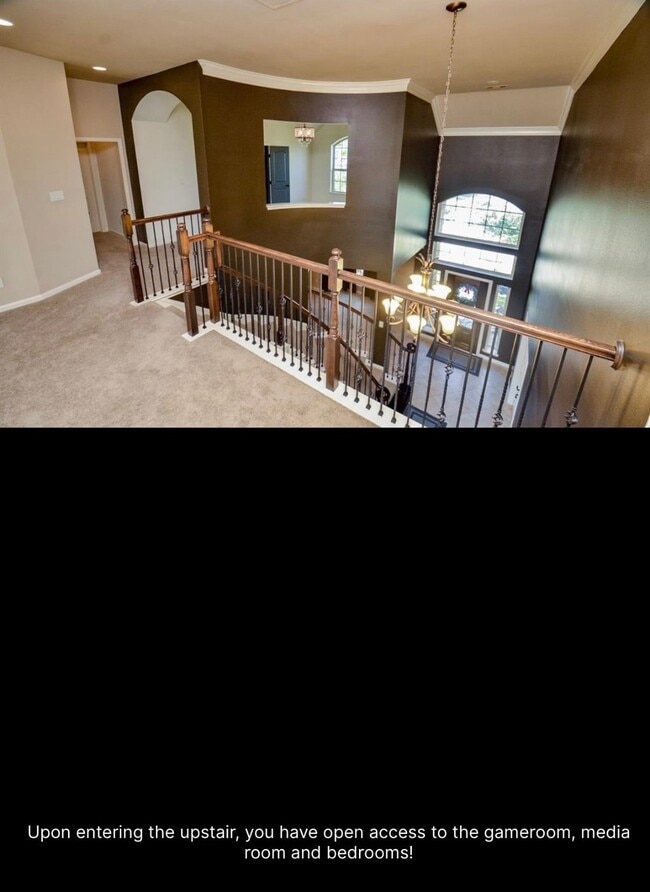 Building Photo - 2703 Bonnie Bray Dr