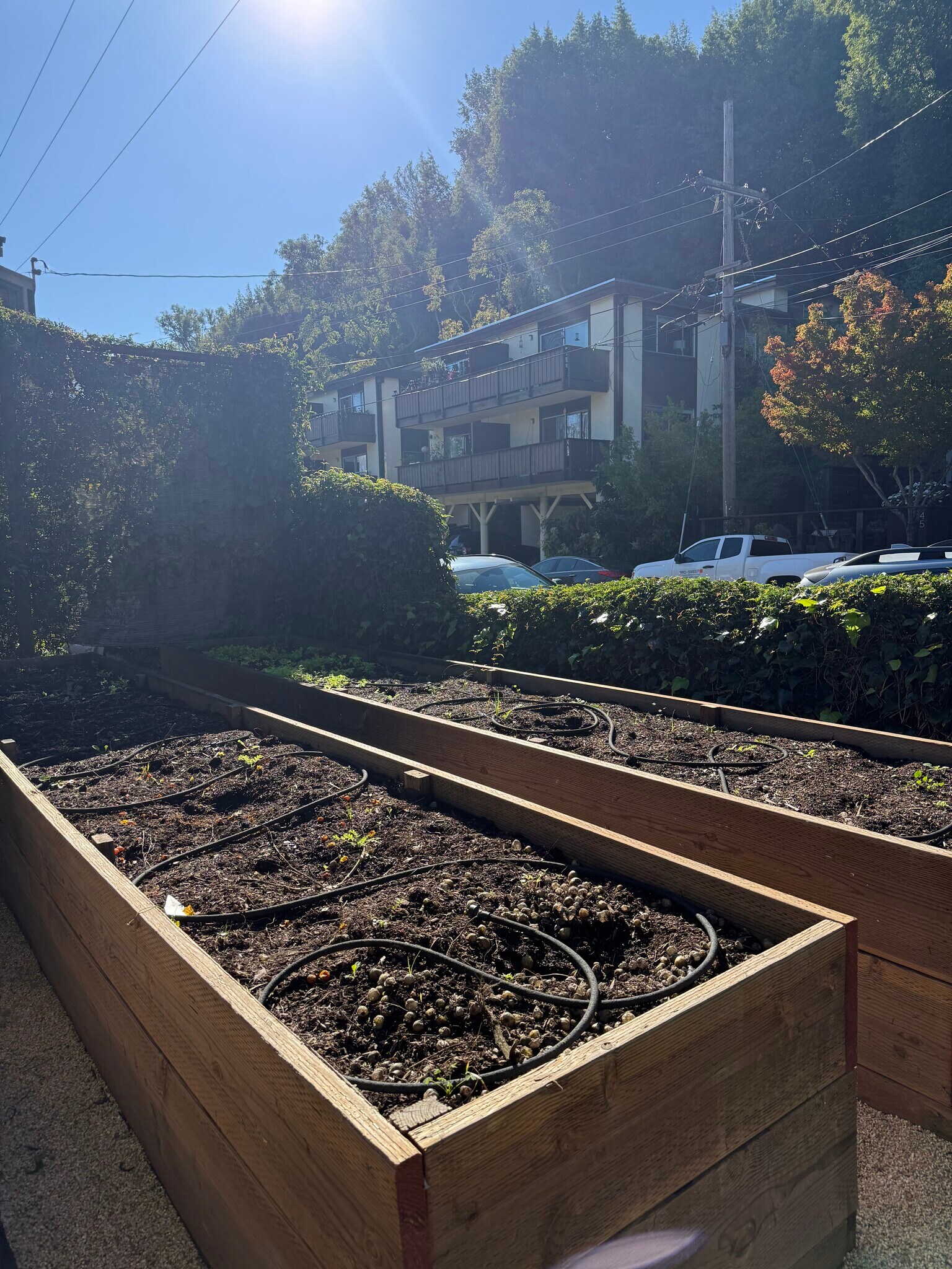 Raised Beds - 196 Tunstead Ave