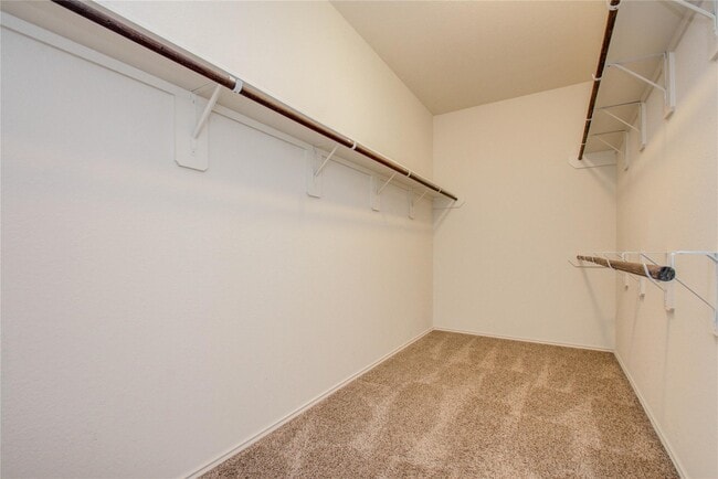 Building Photo - 12275 Little Blue Heron Ln