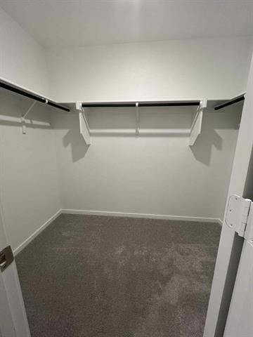 Building Photo - 1201 Falcon Hts Dr