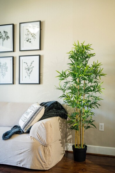 Building Photo - 791 Town and Country Blvd