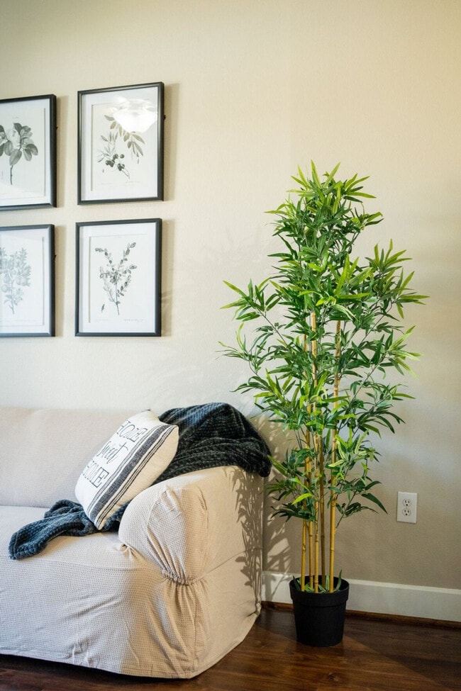 Building Photo - 791 Town and Country Blvd