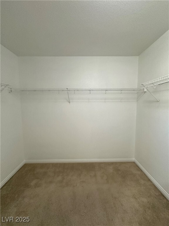 Building Photo - 8741 Brindisi Park Ave