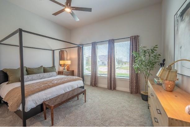 Building Photo - 3116 Winter Rose Way