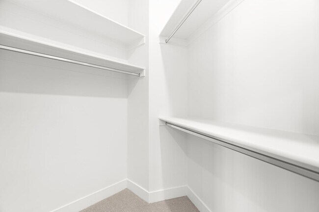 Building Photo - Desert Color Delight!