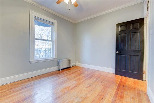 Building Photo - 785 Dorchester Ave