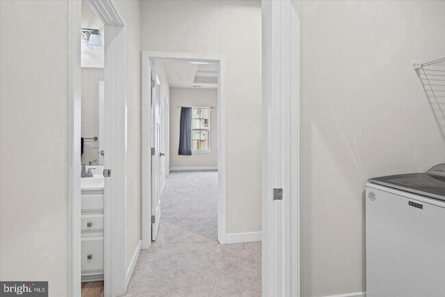 Building Photo - 4111 Shirley Rose Ct
