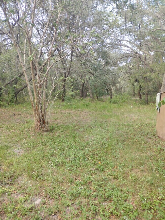 Building Photo - 3 bedroom 2 bathroom Home on 2 1/5 acres