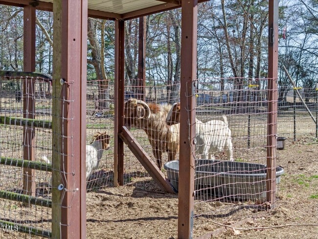 Building Photo - Mini Farm on 2 acres