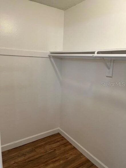 Building Photo - 452 Banyon Tree Cir