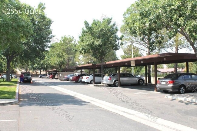 Building Photo - 2554 Olive Dr