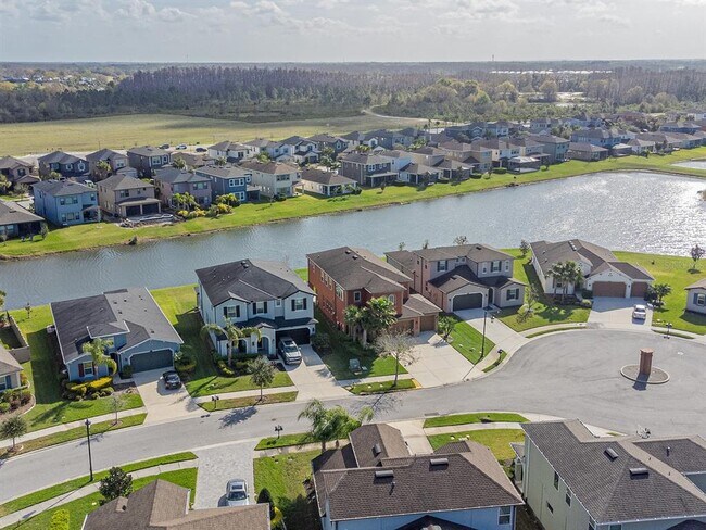 Building Photo - 28923 Lucero Ln