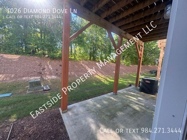 Building Photo - 1026 Diamond Dove Ln
