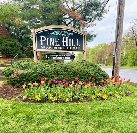 Building Photo - Pine Hill Apartments