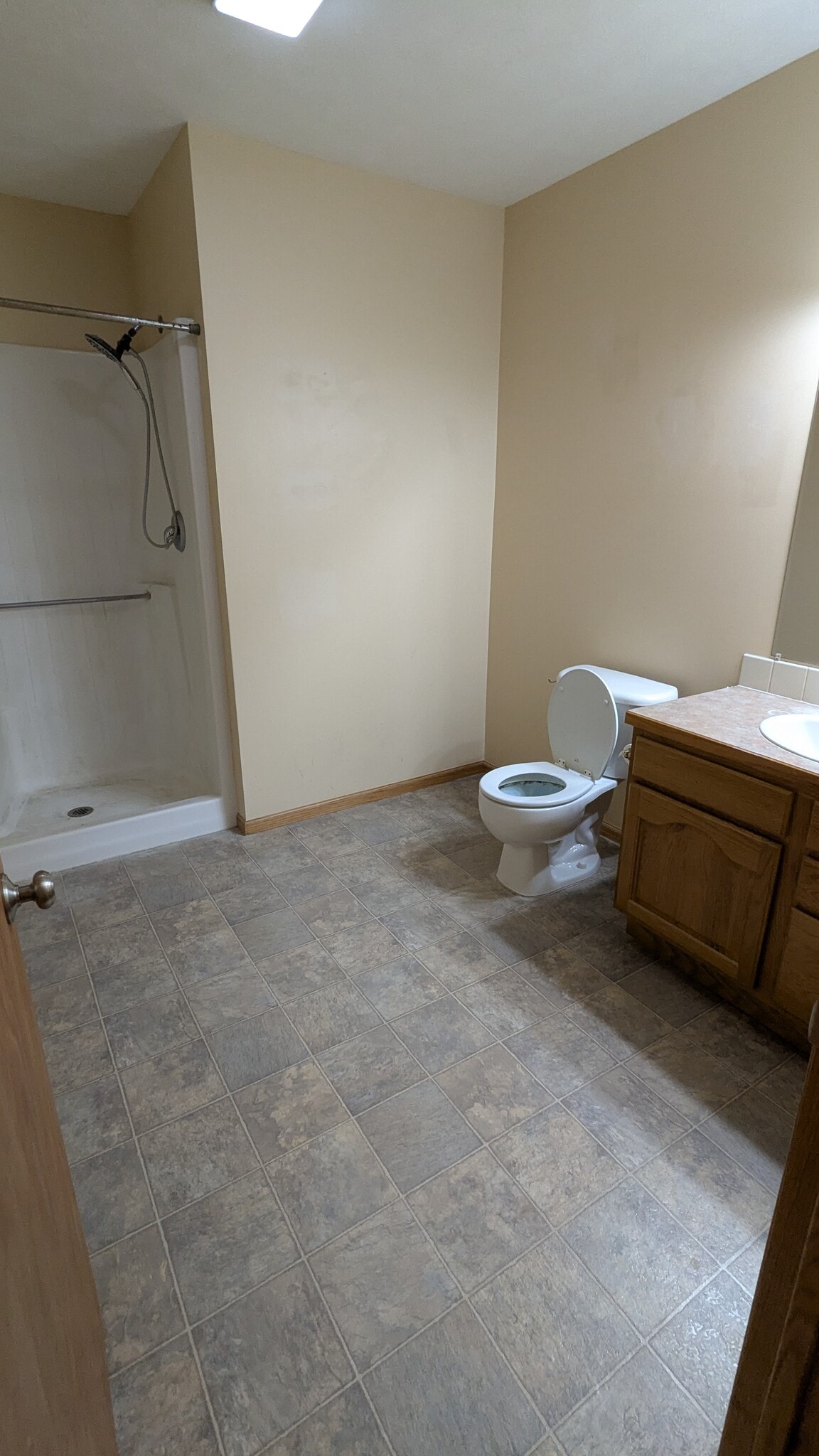Basement Bathroom - 3615 29th Ave