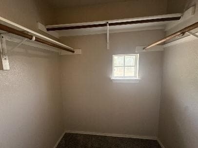 Building Photo - 1729 Constantino Cir