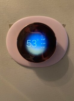 Building Photo - 3203 Trellis Ln