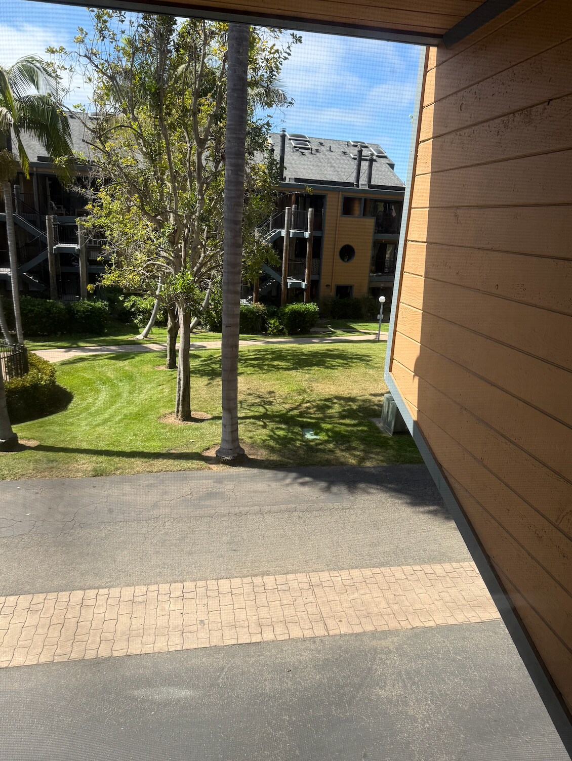 View out bedroom 2 window - 802 Kalpati Cir