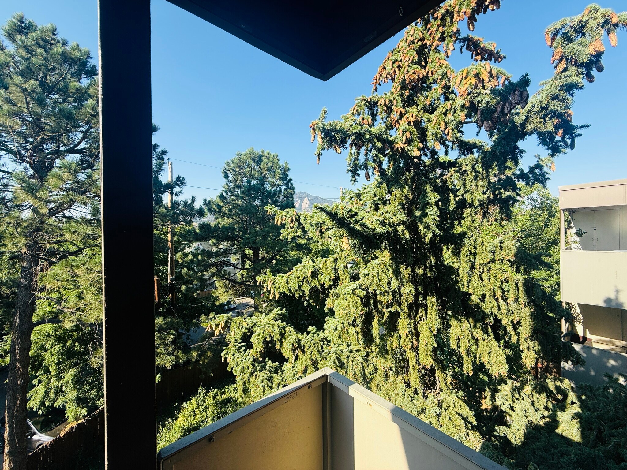 Building Photo - 2227 Canyon Blvd