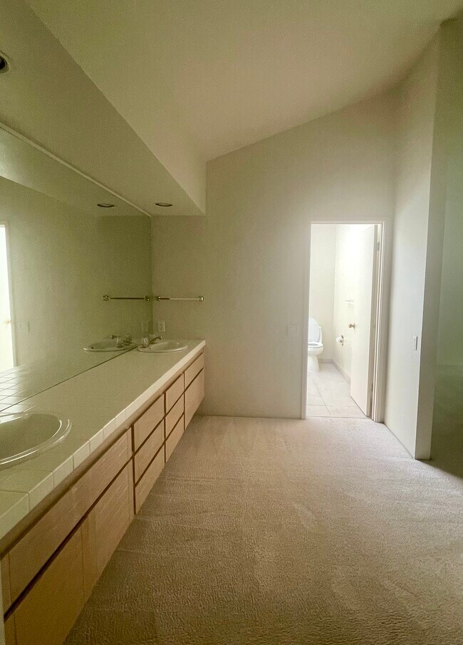 Master bathroom - 1915 Discovery Village Ln