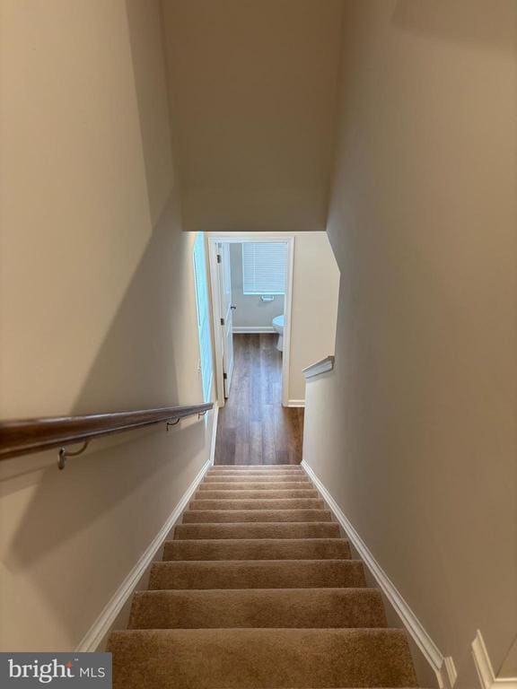 Building Photo - 24 Anthem St