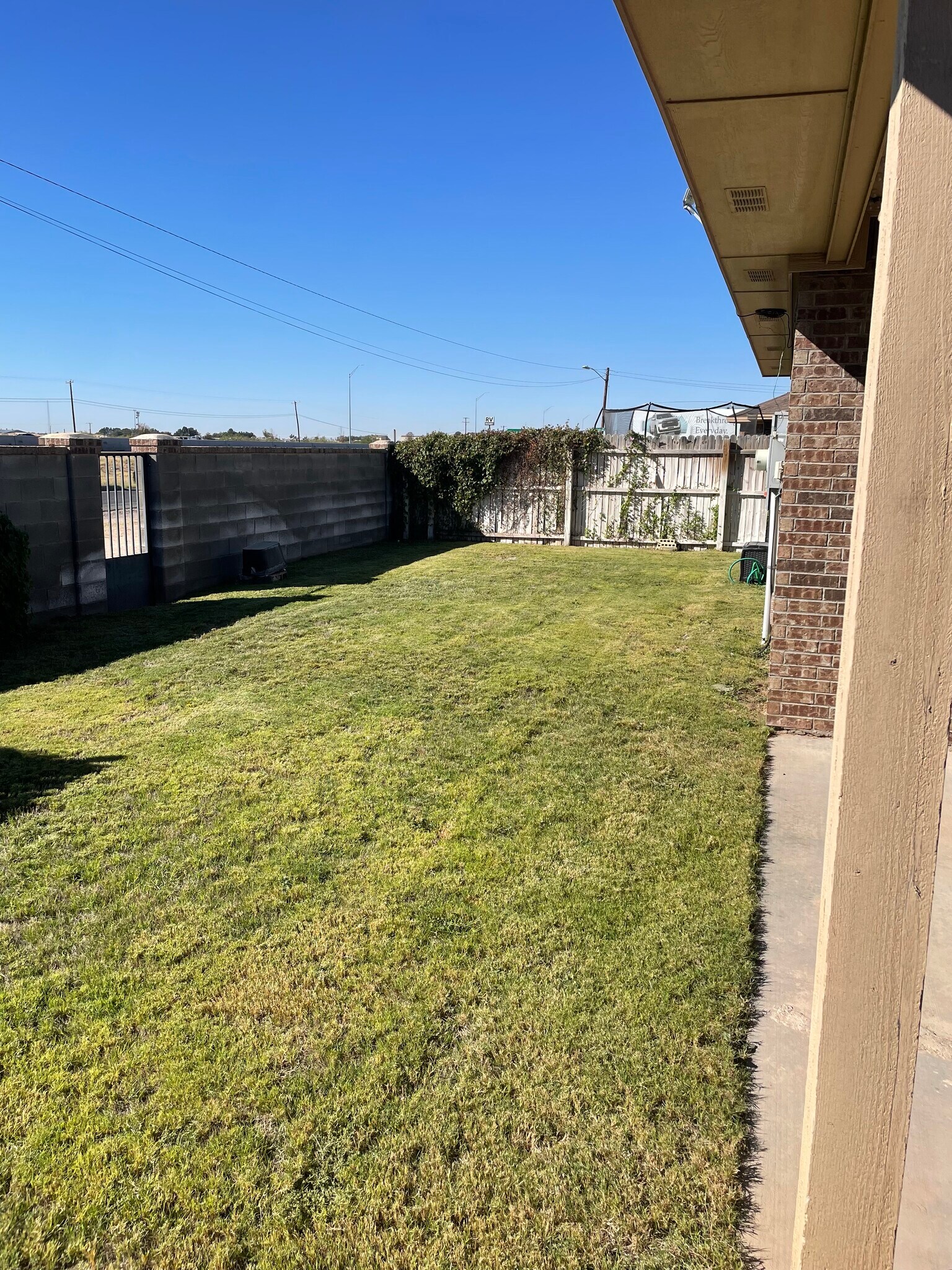 backyard - 404 E 19th St