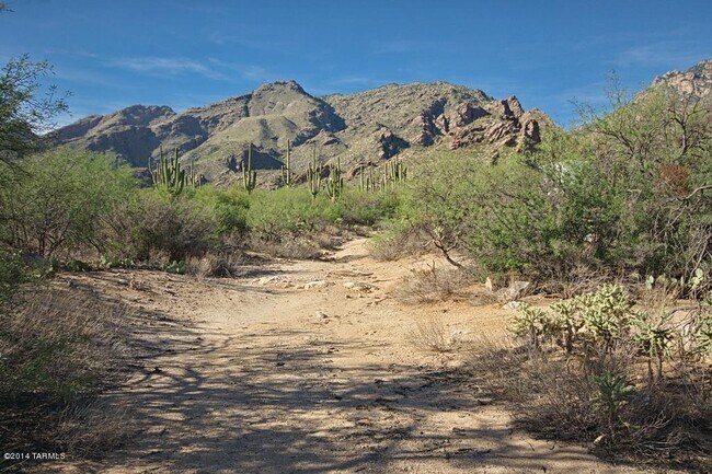 Building Photo - 6655 N Canyon Crest Dr