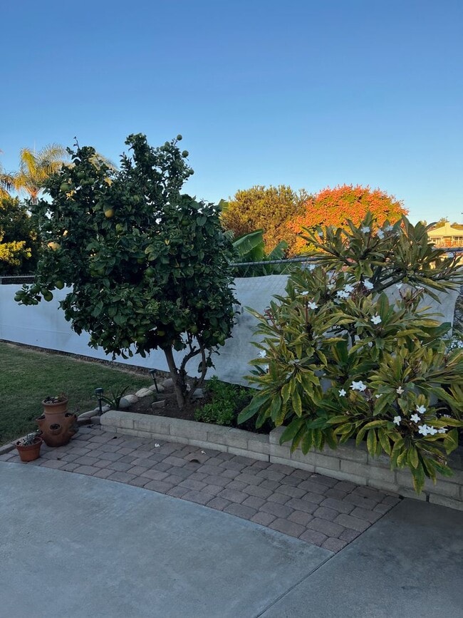 Building Photo - Rare Find!!!  Incredible 4  bedroom / 2 bath updated house in beautiful Clairemont!!!