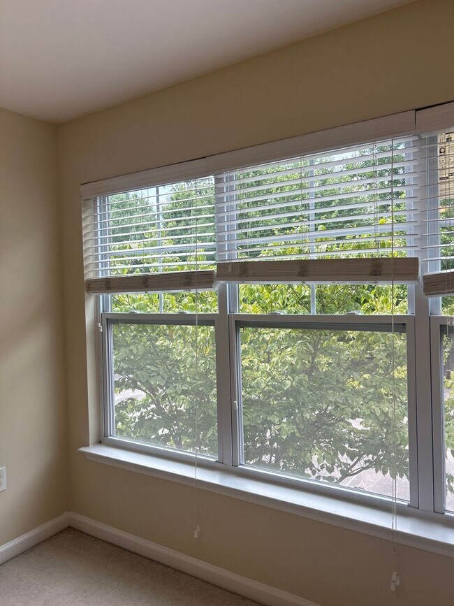 Building Photo - 05-203 Doddi