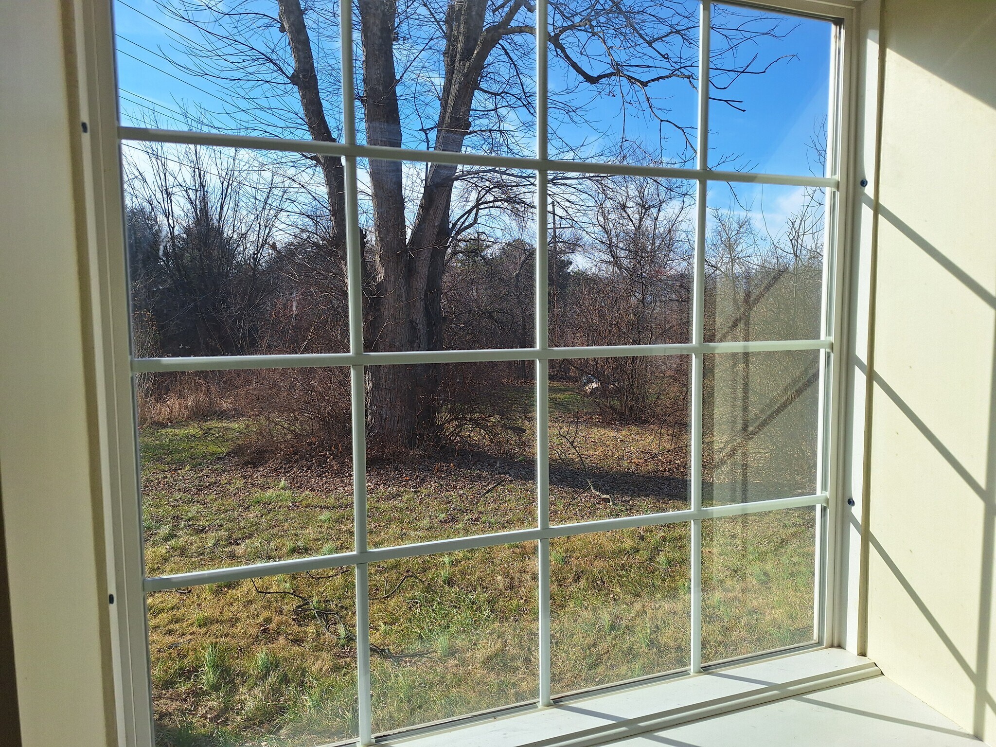 Building Photo - 354 Buchanan Trl