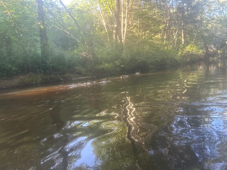 Kayaking, canoeing, & tubing close. - 851 9th St