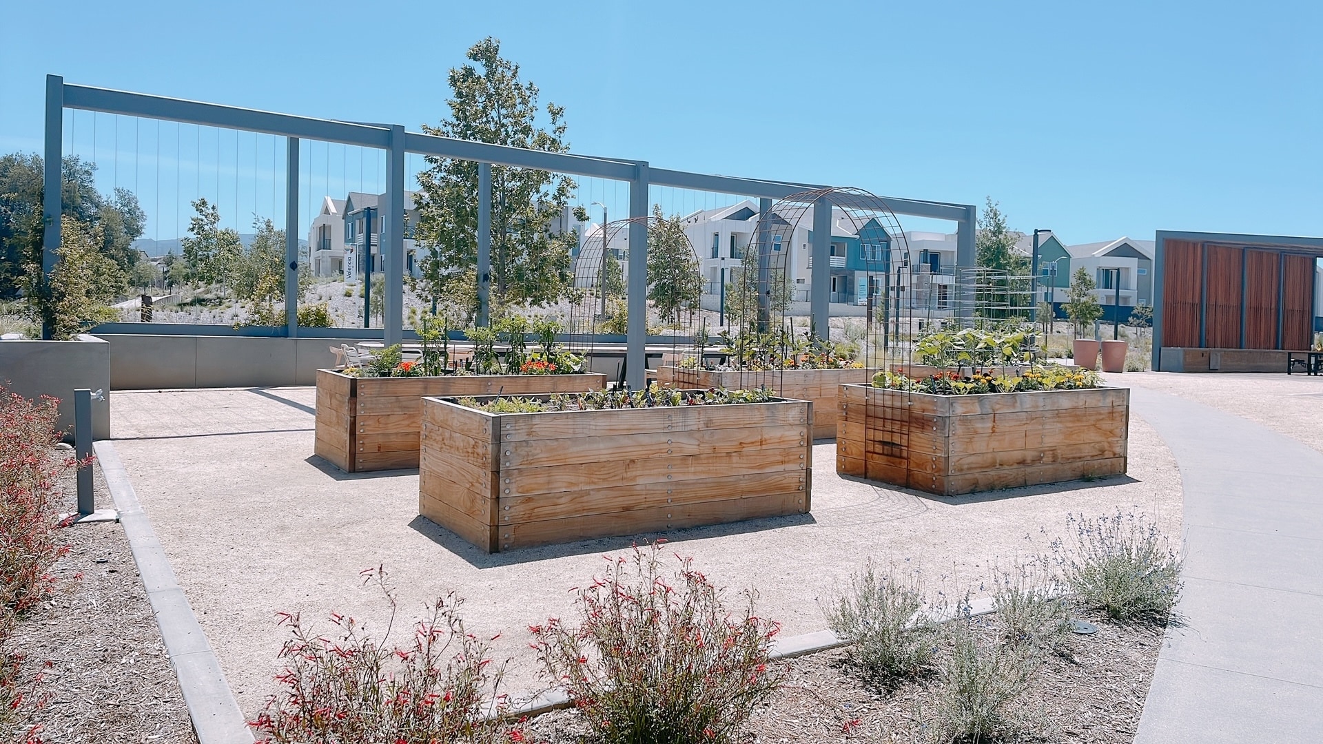 Building Photo - 27019 Evening Sky Plz