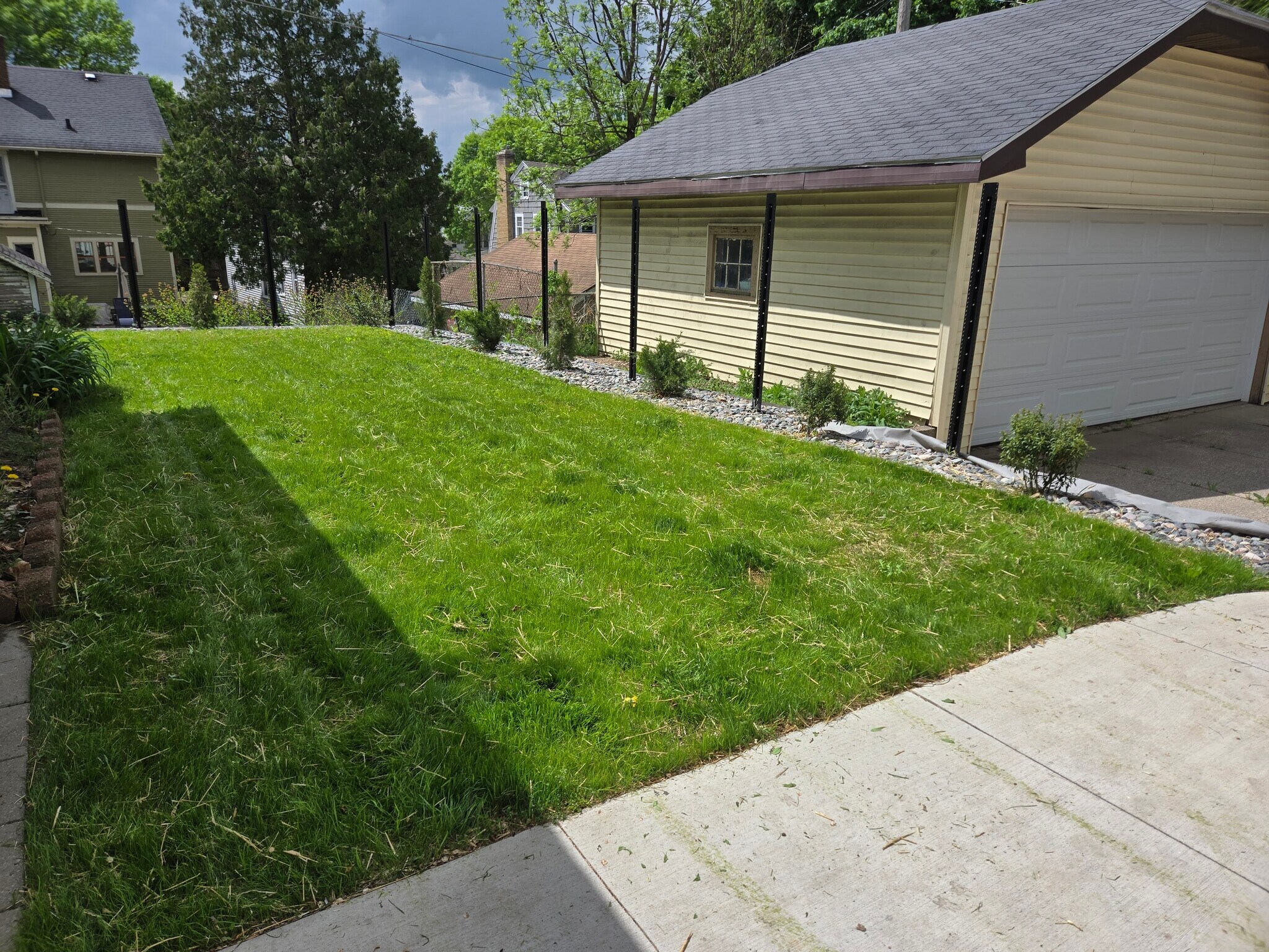 backyard - 1019 Widdicomb Ave NW