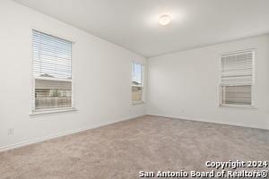 Building Photo - 246 W Flowing River Dr