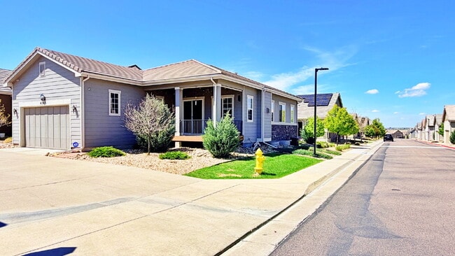 Building Photo - FANTASTIC 2019 4 Bed 3.5 Bath Ranch with over 3,000 finished SqFt in the Castlewood Neighborhood ...
