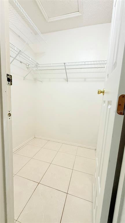 Building Photo - 3101 Tadpole Ct
