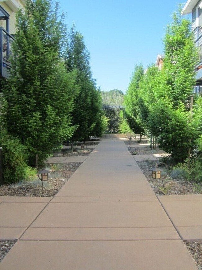 Building Photo - Studio in North East Santa Rosa