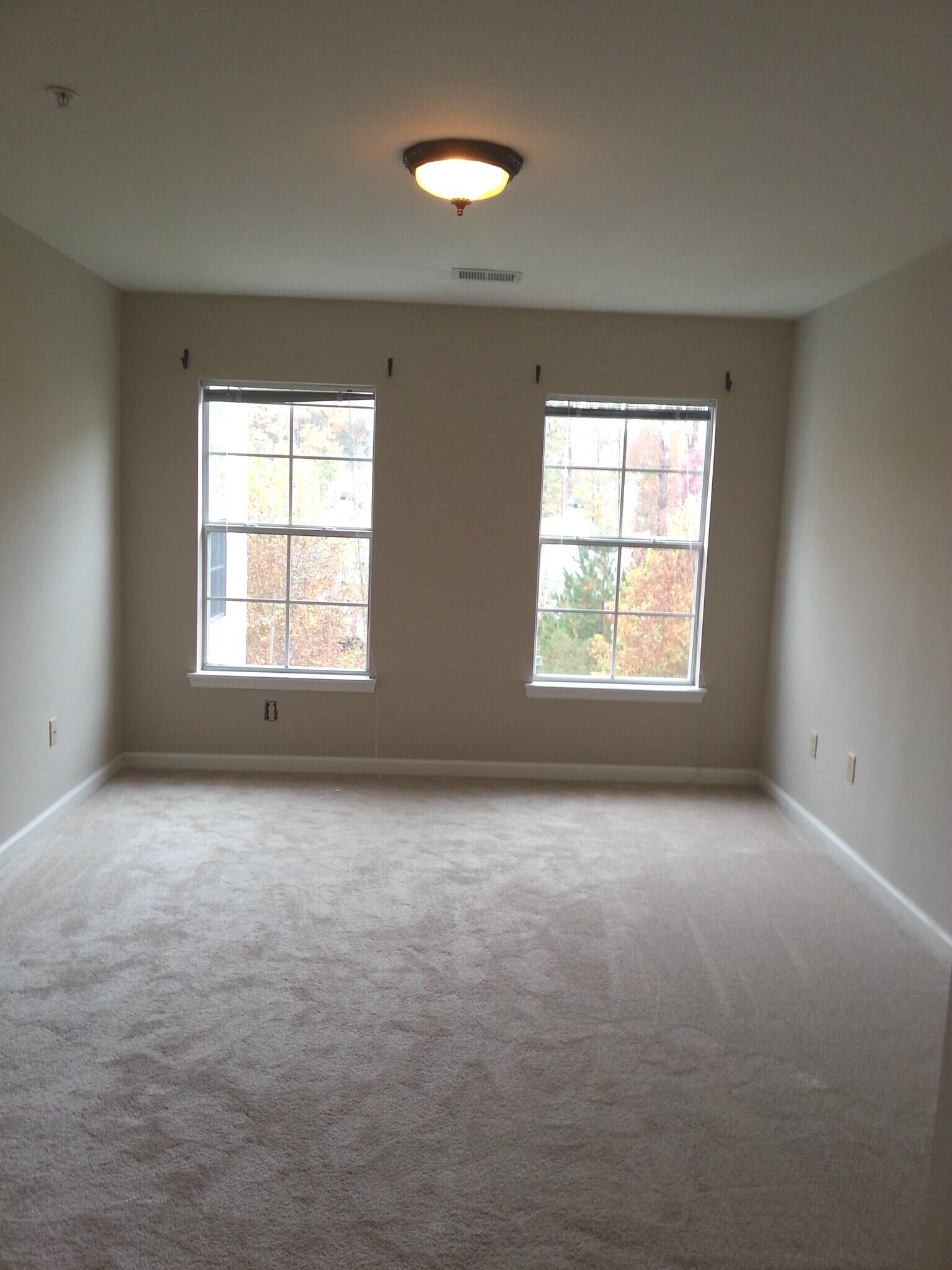 Bedroom with 2 windows - 704 Bristol Village Dr