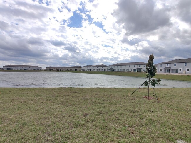 Building Photo - 32094 Powderpuff Mimosa Dr