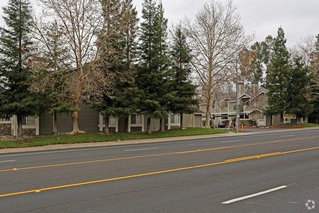 Building Photo - Camino Woods