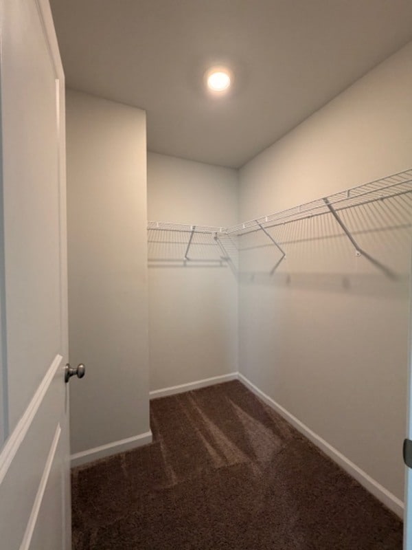 Building Photo - 501 Cricket Chirp Ln