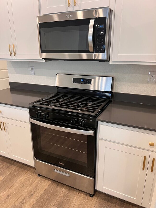 Building Photo - Beautiful newer, 4 Bedroom 2 Bath Home in Fernley