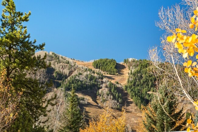 Building Photo - 522 Spruce St