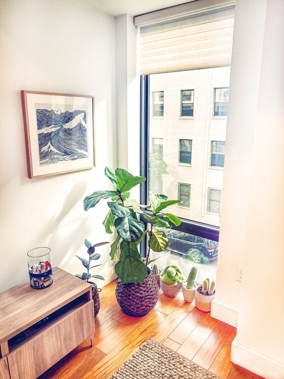 Building Photo - 257 Northampton St